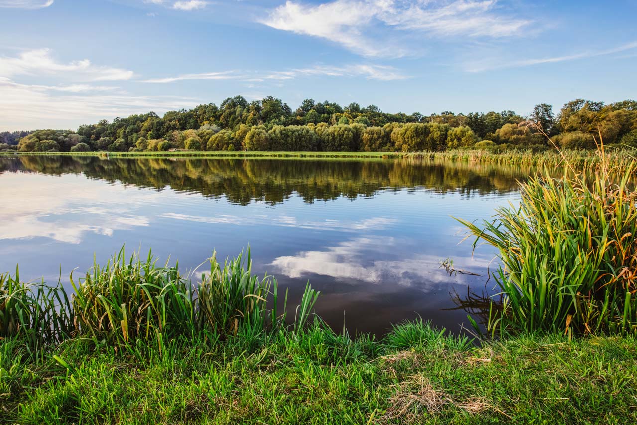 mazury