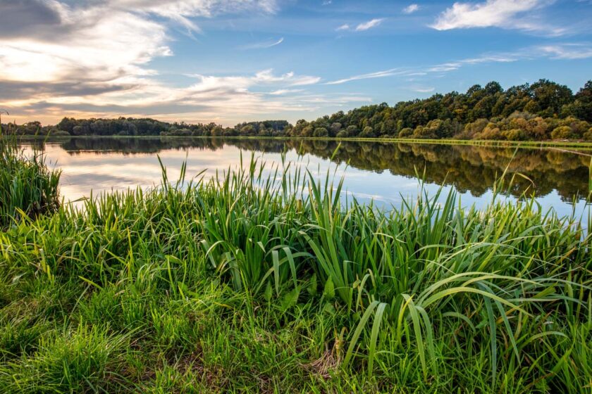 mazury