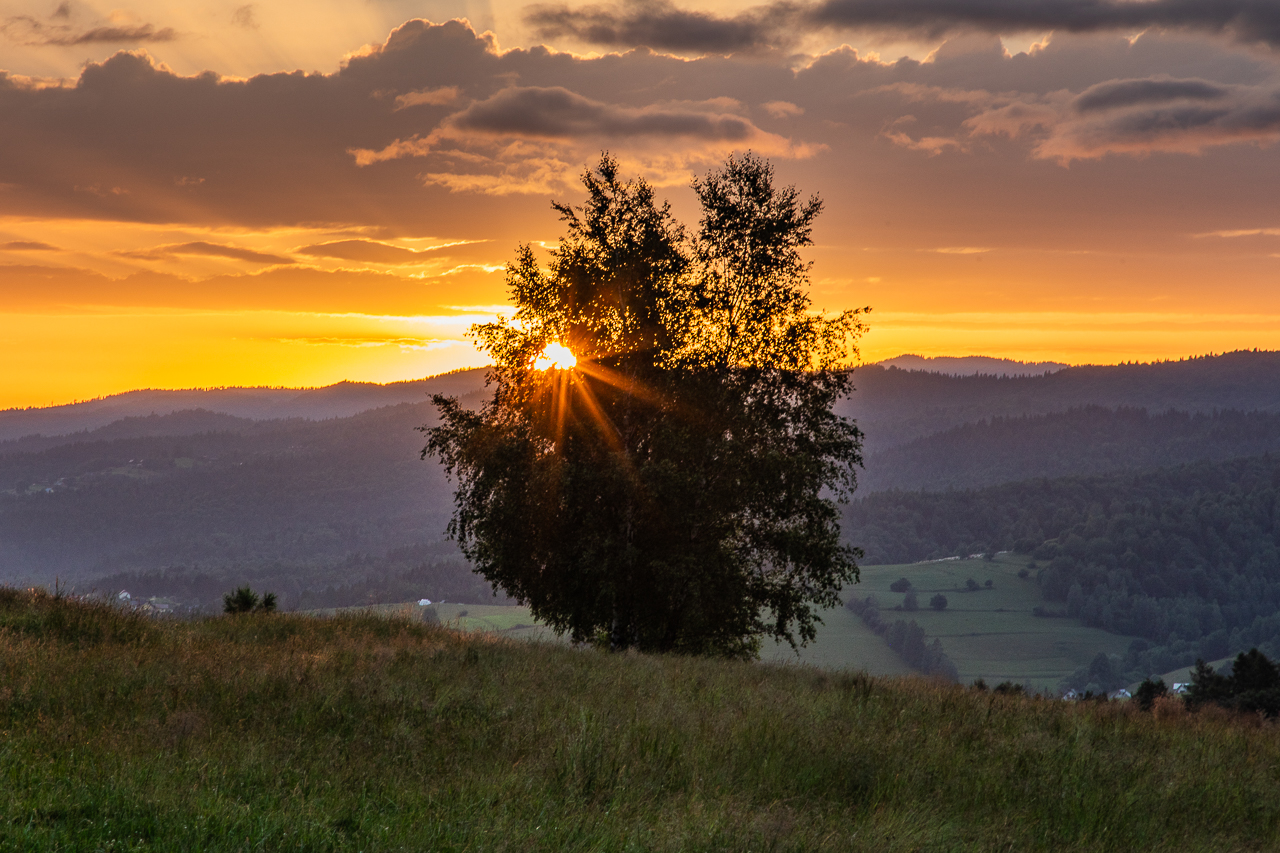 pieniny widok