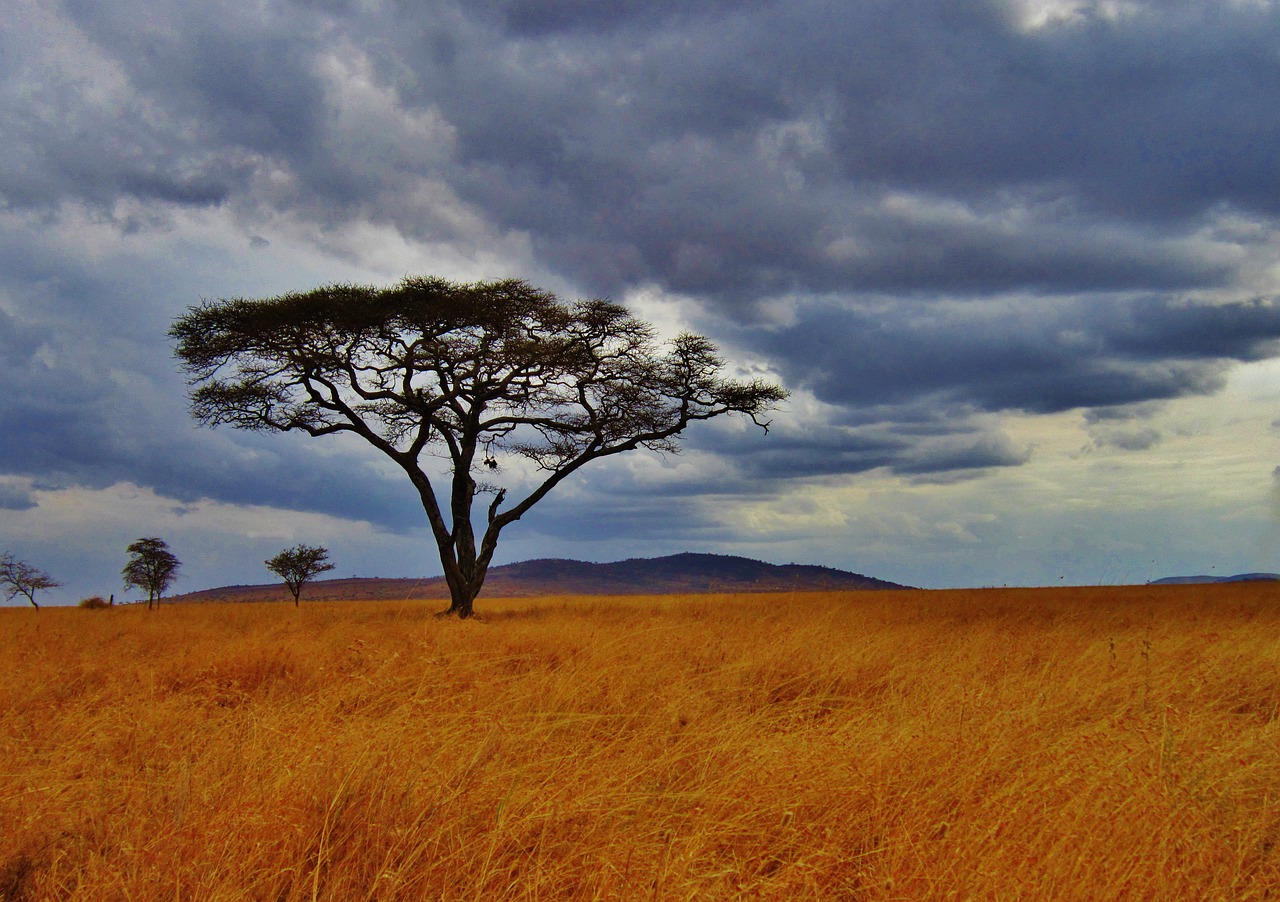 tanzania