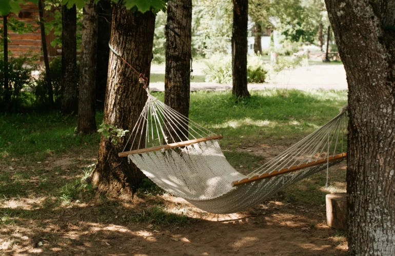 namiot czy hamak do lasu