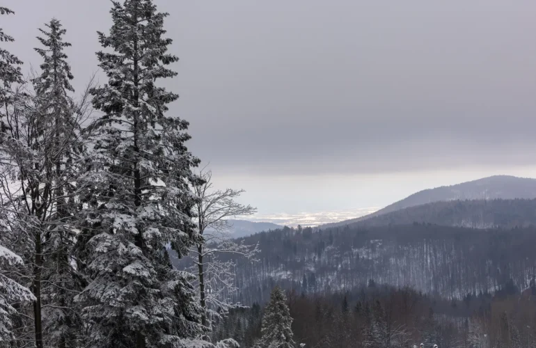 chatka pod potrójną